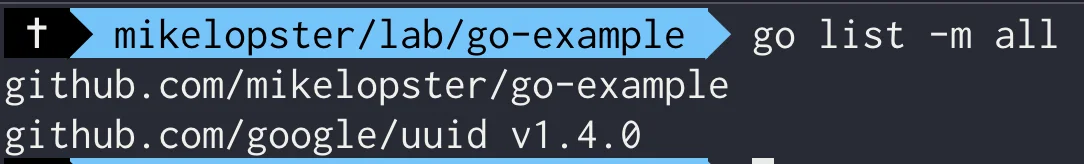 go-module-02